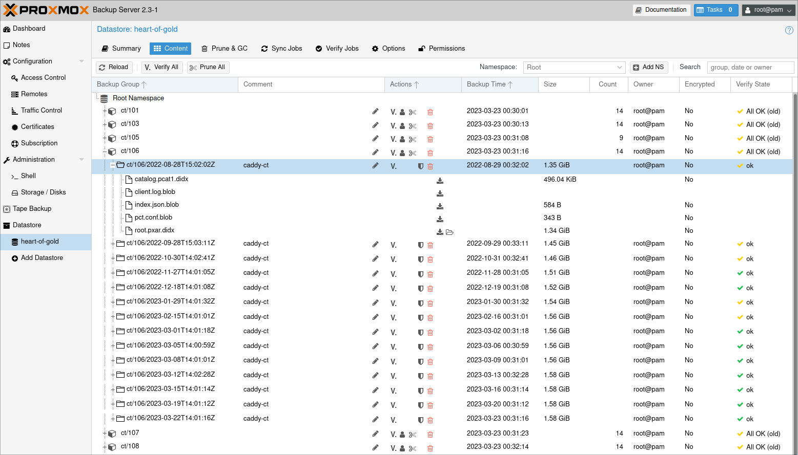 List showing container backups in the datastore